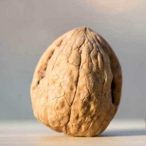 Meet your Posher, Anisa